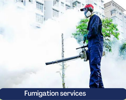 Fumigation services in Nairobi – why you need them
