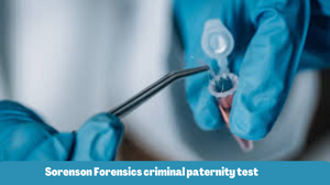 Sorenson Forensics Criminal Paternity Test: How It Works and What You Need to Know