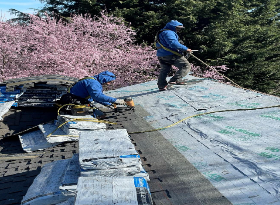 Bellevue Roofing Company: Quality Roofing Services in Bellevue